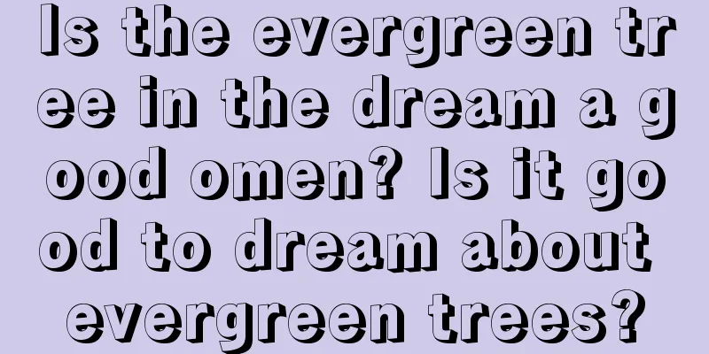 Is the evergreen tree in the dream a good omen? Is it good to dream about evergreen trees?