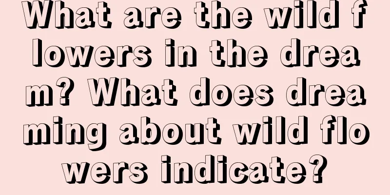 What are the wild flowers in the dream? What does dreaming about wild flowers indicate?