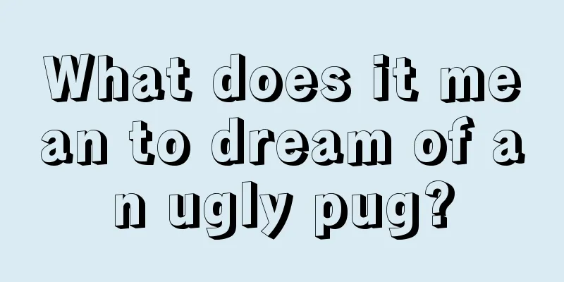 What does it mean to dream of an ugly pug?