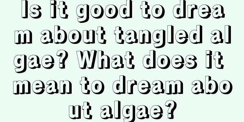 Is it good to dream about tangled algae? What does it mean to dream about algae?