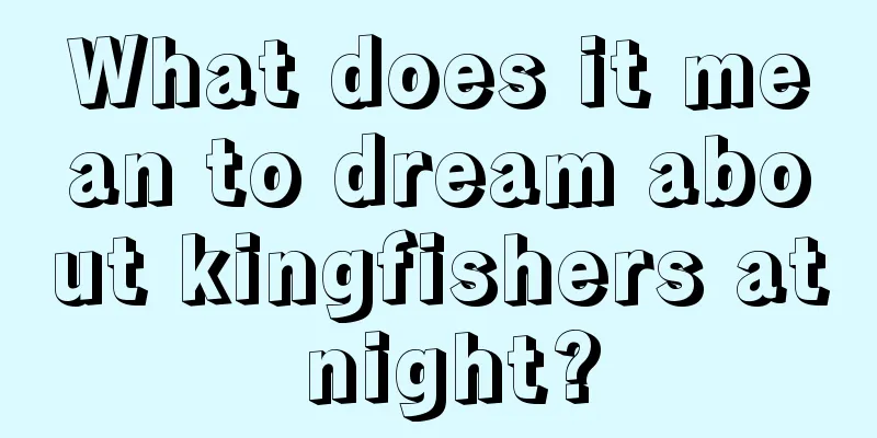 What does it mean to dream about kingfishers at night?