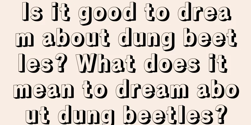 Is it good to dream about dung beetles? What does it mean to dream about dung beetles?