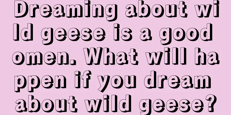 Dreaming about wild geese is a good omen. What will happen if you dream about wild geese?