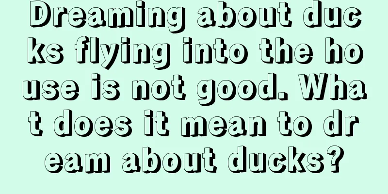 Dreaming about ducks flying into the house is not good. What does it mean to dream about ducks?