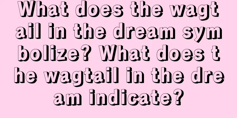 What does the wagtail in the dream symbolize? What does the wagtail in the dream indicate?