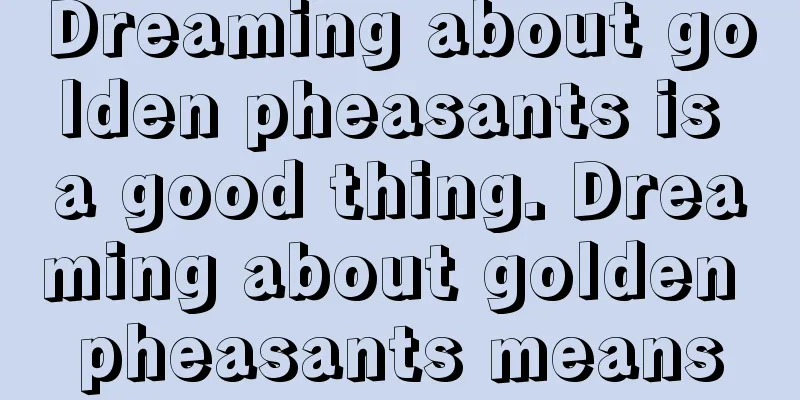 Dreaming about golden pheasants is a good thing. Dreaming about golden pheasants means