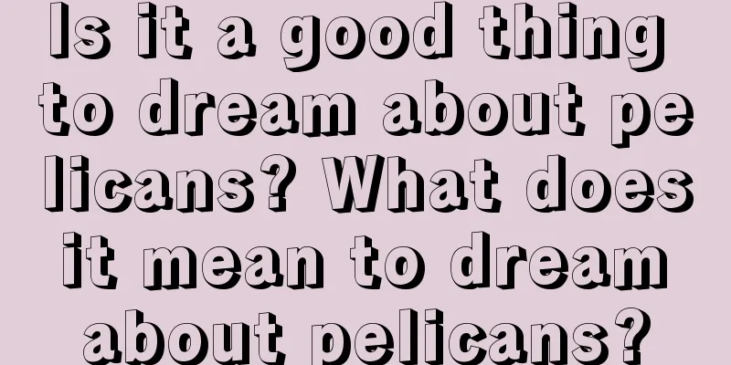 Is it a good thing to dream about pelicans? What does it mean to dream about pelicans?