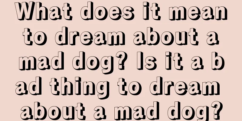 What does it mean to dream about a mad dog? Is it a bad thing to dream about a mad dog?