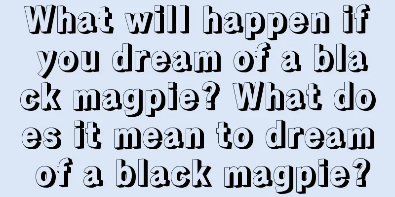 What will happen if you dream of a black magpie? What does it mean to dream of a black magpie?