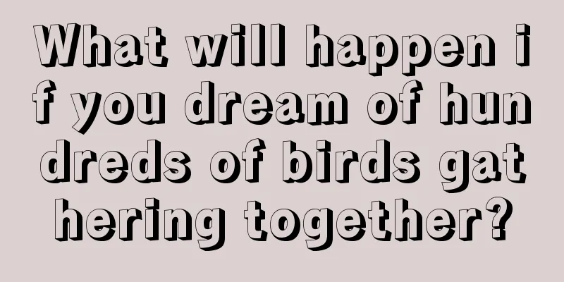 What will happen if you dream of hundreds of birds gathering together?