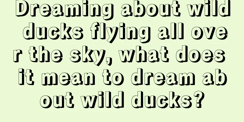 Dreaming about wild ducks flying all over the sky, what does it mean to dream about wild ducks?