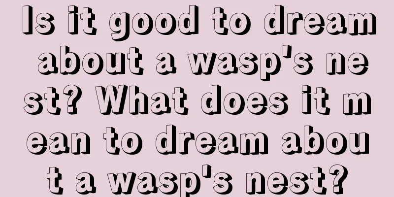 Is it good to dream about a wasp's nest? What does it mean to dream about a wasp's nest?