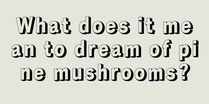 What does it mean to dream of pine mushrooms?