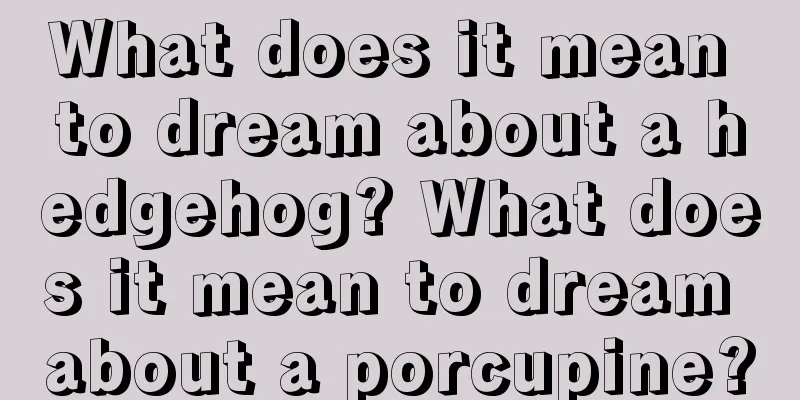 What does it mean to dream about a hedgehog? What does it mean to dream about a porcupine?