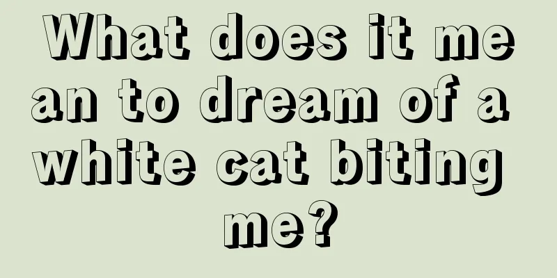 What does it mean to dream of a white cat biting me?