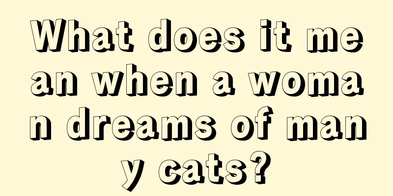 What does it mean when a woman dreams of many cats?