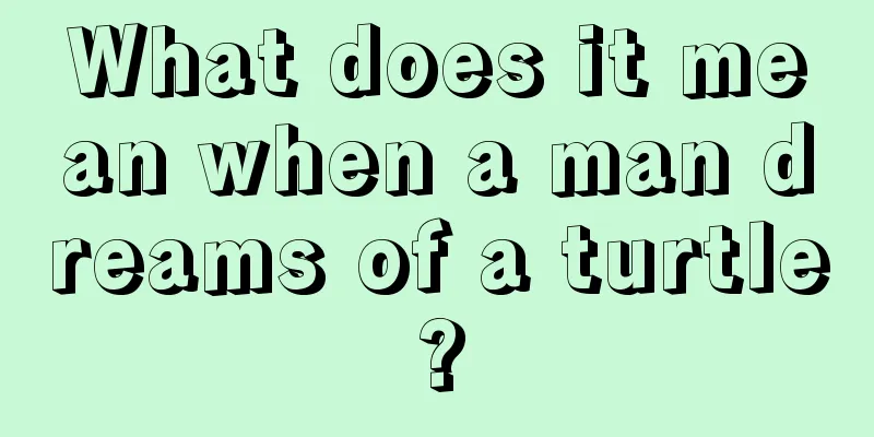 What does it mean when a man dreams of a turtle?