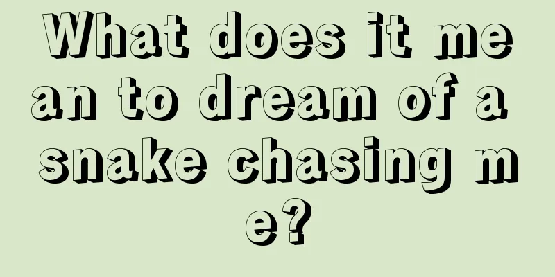 What does it mean to dream of a snake chasing me?