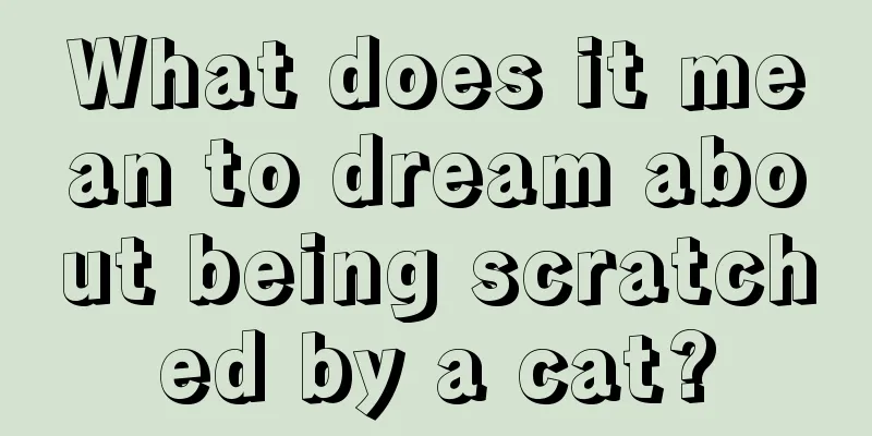 What does it mean to dream about being scratched by a cat?