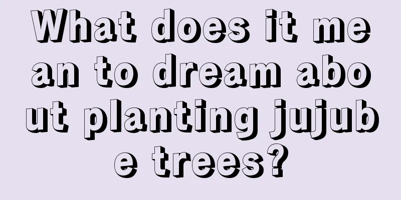 What does it mean to dream about planting jujube trees?