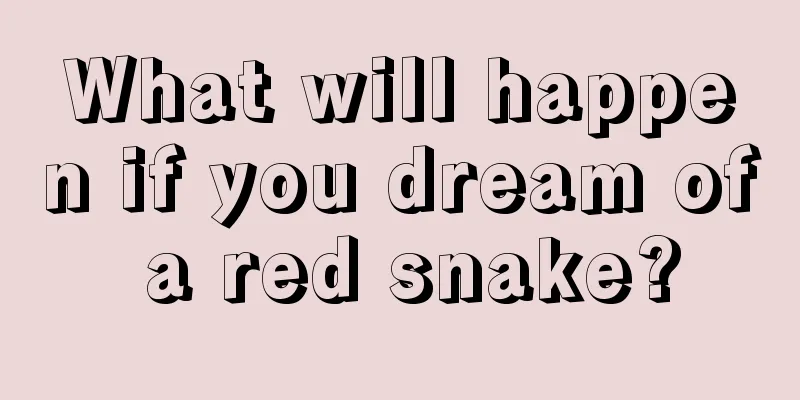 What will happen if you dream of a red snake?