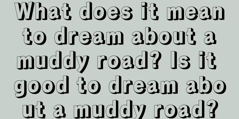 What does it mean to dream about a muddy road? Is it good to dream about a muddy road?