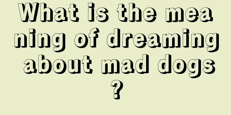 What is the meaning of dreaming about mad dogs?