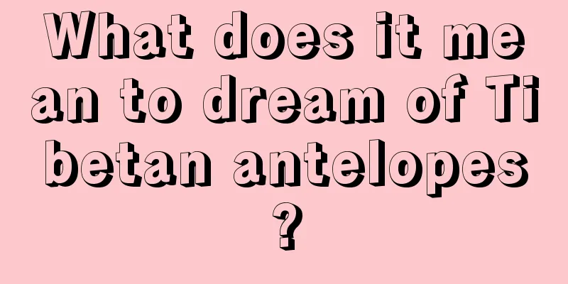 What does it mean to dream of Tibetan antelopes?