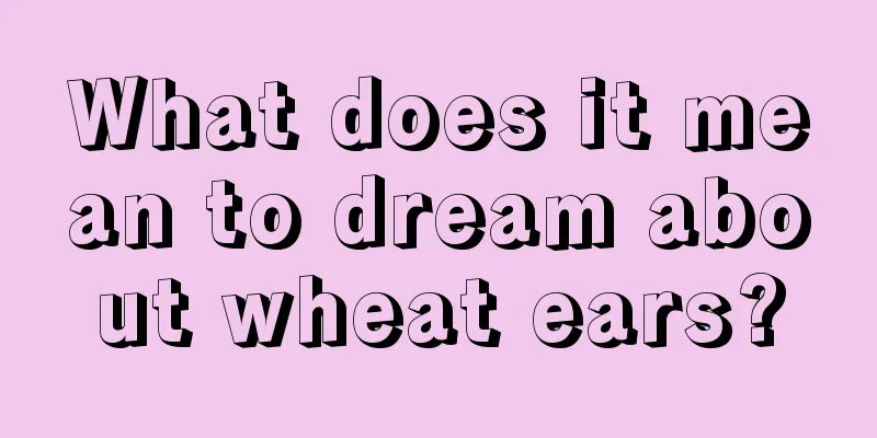 What does it mean to dream about wheat ears?