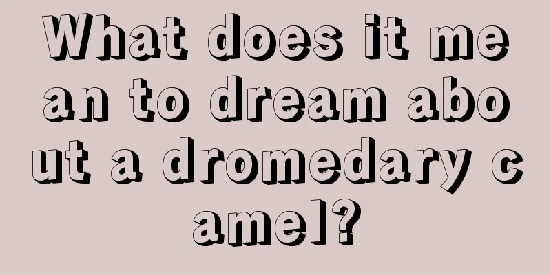 What does it mean to dream about a dromedary camel?