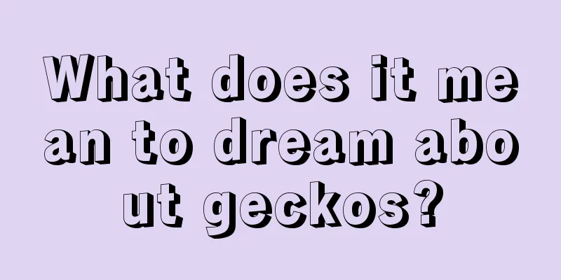 What does it mean to dream about geckos?