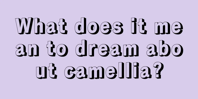 What does it mean to dream about camellia?