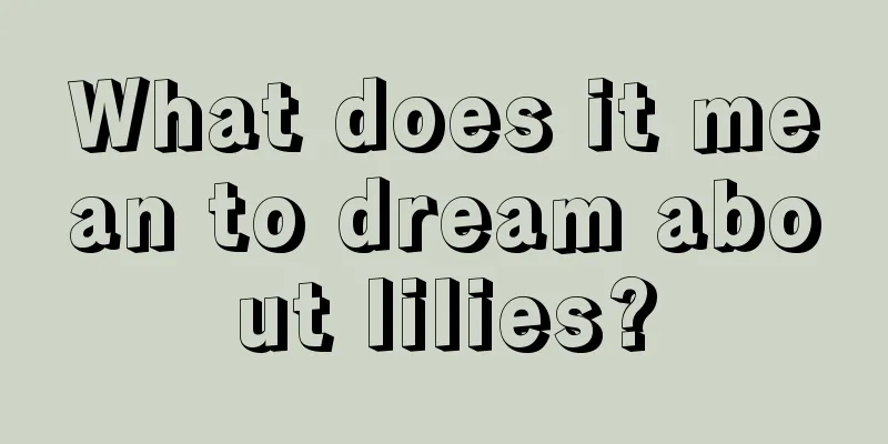 What does it mean to dream about lilies?