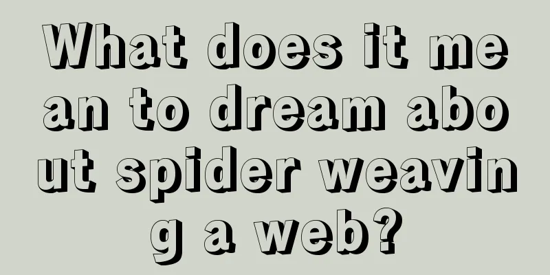 What does it mean to dream about spider weaving a web?