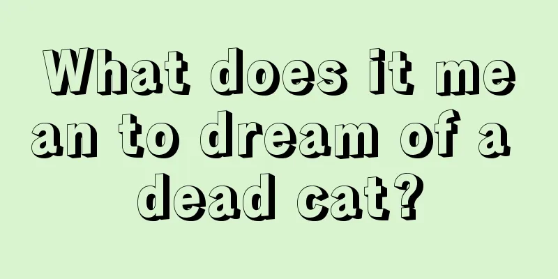 What does it mean to dream of a dead cat?