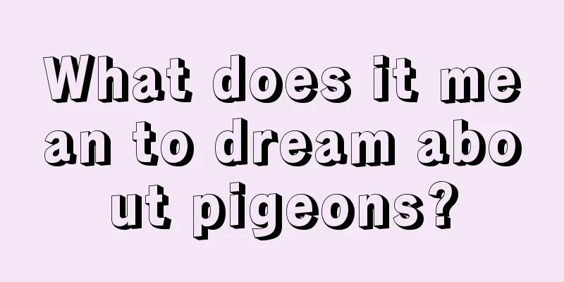 What does it mean to dream about pigeons?