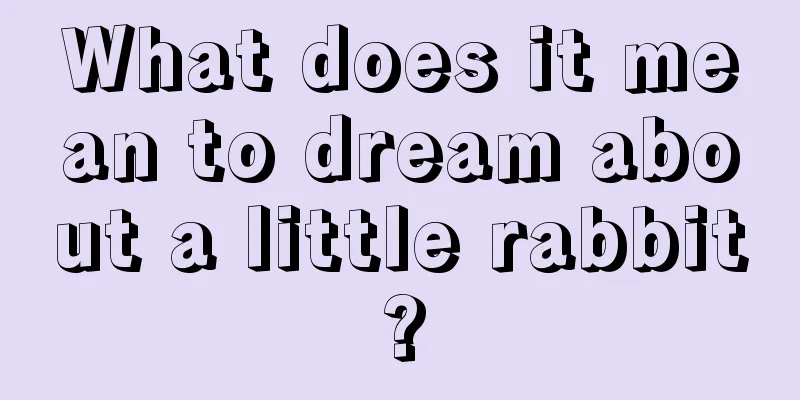 What does it mean to dream about a little rabbit?