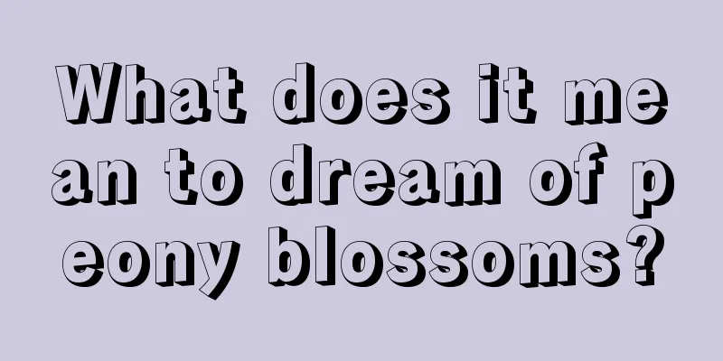 What does it mean to dream of peony blossoms?