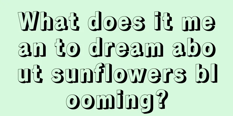 What does it mean to dream about sunflowers blooming?