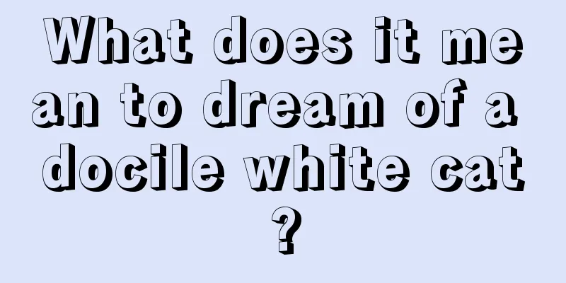 What does it mean to dream of a docile white cat?