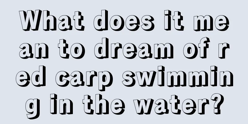 What does it mean to dream of red carp swimming in the water?