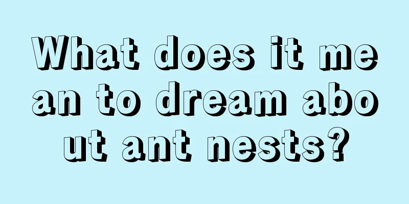 What does it mean to dream about ant nests?