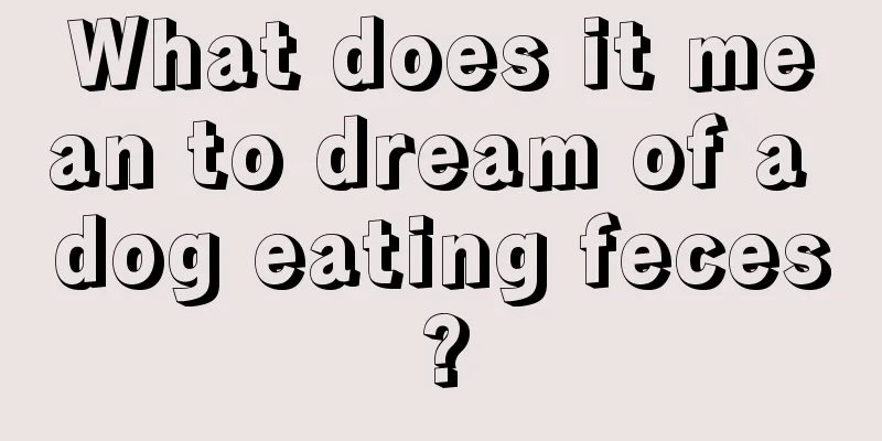 What does it mean to dream of a dog eating feces?