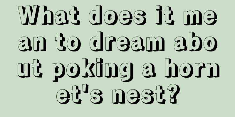 What does it mean to dream about poking a hornet's nest?