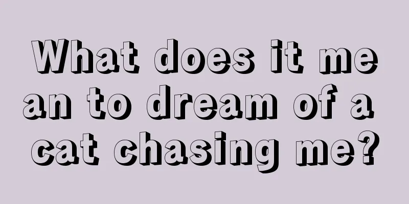 What does it mean to dream of a cat chasing me?