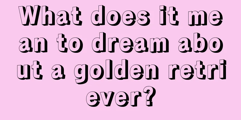 What does it mean to dream about a golden retriever?