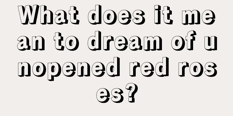 What does it mean to dream of unopened red roses?