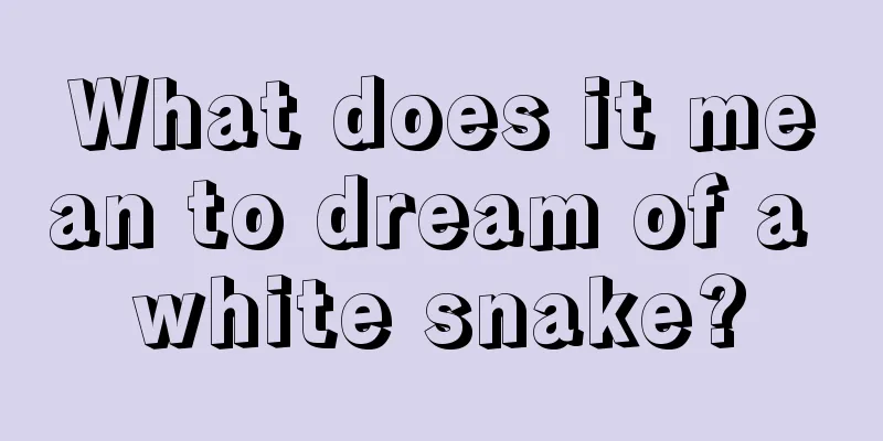 What does it mean to dream of a white snake?