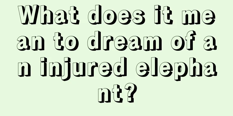 What does it mean to dream of an injured elephant?