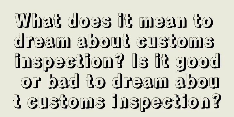 What does it mean to dream about customs inspection? Is it good or bad to dream about customs inspection?